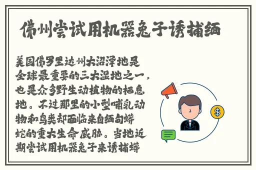 亚洲乱码在线卡一卡二卡新区